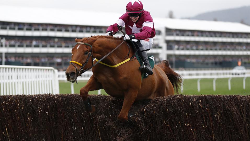 Punchestown Gold Cup favourite Road To Respect